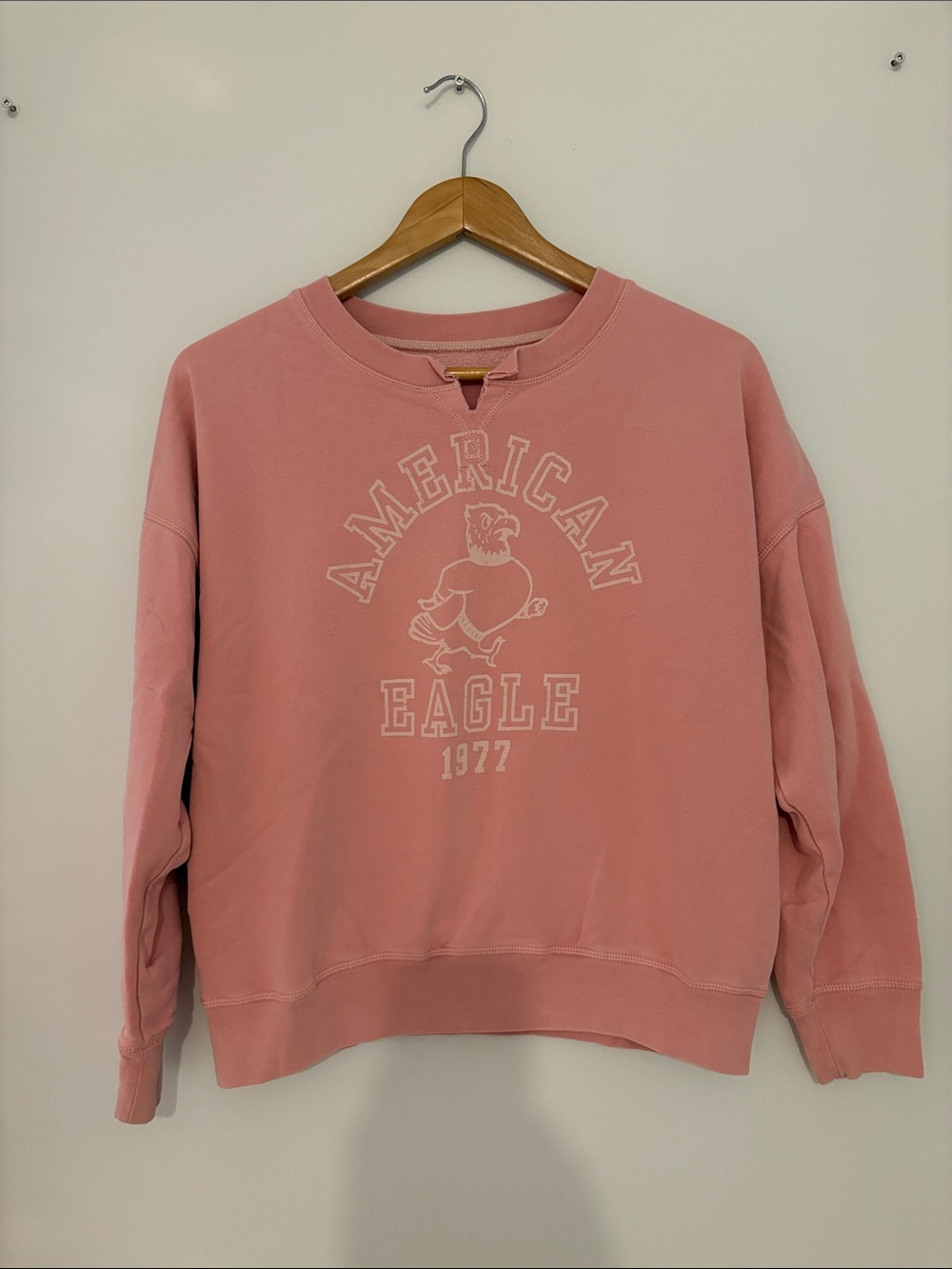 American Eagle Outfitters Dusty Pink Vintage Logo Crewneck Sweatshirt